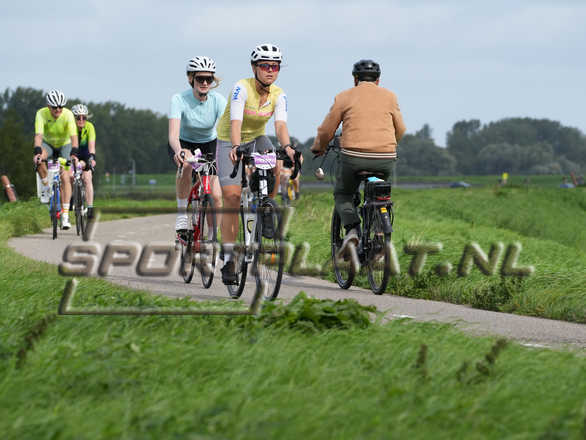 D3669.jpg